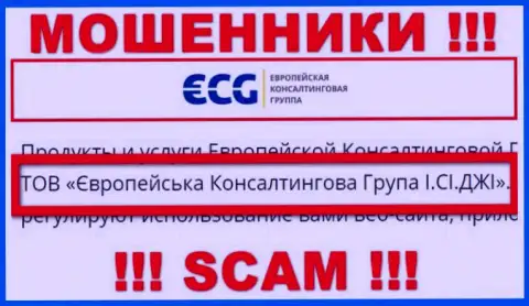 E.C.G - это интернет-обманщики, а владеет ими ООО Европейская Консалтинговая Группа И.СИ.ДЖИ