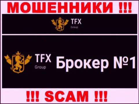 Не надо доверять денежные вложения TFX-Group Com, потому что их область работы, FOREX, обман