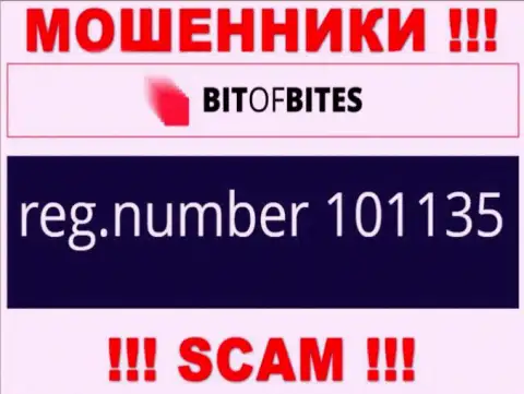 Рег. номер организации BitOfBites Com, который они засветили на своем сайте: 101135