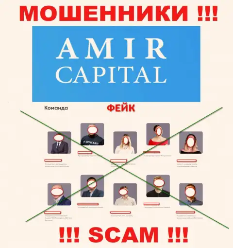 Мошенники Amir Capital беспрепятственно прикарманивают средства, т.к. на web-сервисе представили ложное начальство