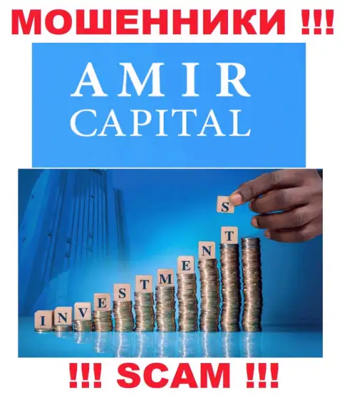 Не вводите денежные активы в АмирКапитал, направление деятельности которых - Инвестиции