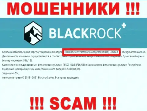 Руководством БлэкРок Плюс является организация - BlackRock Investment Management (UK) Ltd