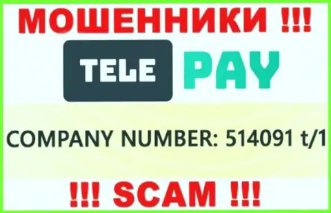 Рег. номер TelePay, который показан мошенниками у них на сайте: 514091 t/1