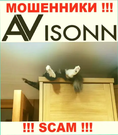 На онлайн-сервисе разводил Avisonn Вы не разыщите инфы об регуляторе, его просто НЕТ !!!