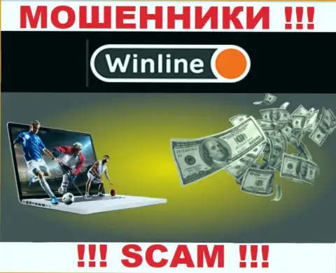 Будьте крайне бдительны !!! WinLine это явно интернет-мошенники ! Их работа незаконна