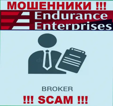 Endurance Enterprises не внушает доверия, Брокер - это именно то, чем промышляют данные интернет мошенники
