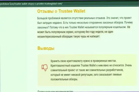 Trustee Wallet - это МОШЕННИКИ !!! Крадут депозиты клиентов (обзор неправомерных деяний)