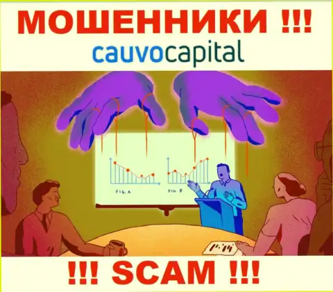 Не рекомендуем соглашаться сотрудничать с интернет жуликами КаувоКапитал Ком, присваивают вложенные деньги