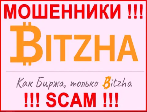 Bitzha24 - это ВОРЫ !!! Финансовые вложения назад не возвращают !