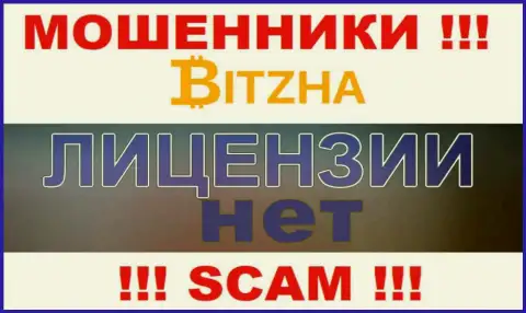 Аферистам Bitzha24 Com не дали лицензию на осуществление деятельности - отжимают денежные средства