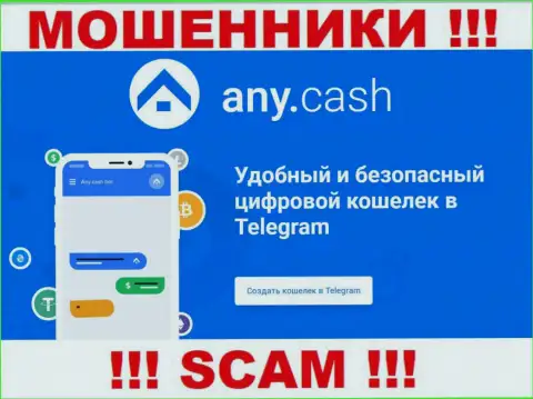 Ани Кеш - это internet мошенники, их работа - Виртуальный кошелёк, нацелена на отжатие денег наивных клиентов