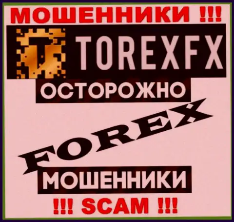 Сфера деятельности TorexFX: Форекс - отличный заработок для мошенников