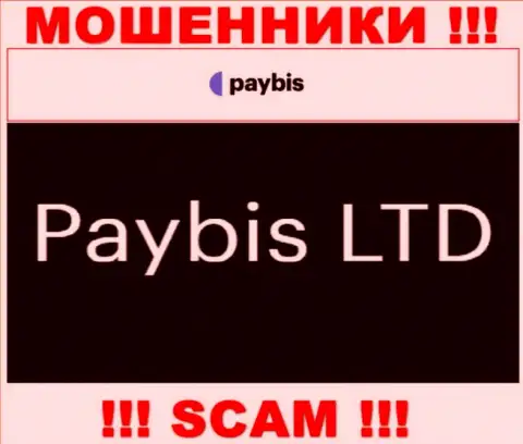 Paybis LTD руководит конторой PayBis - это ВОРЫ !
