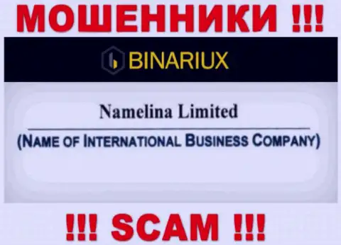 Binariux - это internet воры, а владеет ими Namelina Limited