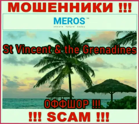 St Vincent & the Grenadines - это юридическое место регистрации компании Meros TM