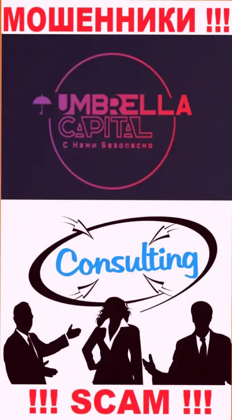 Umbrella Capital - МАХИНАТОРЫ, сфера деятельности которых - Консалтинг