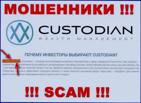 Юридическим лицом, управляющим мошенниками Кустодиан, является ООО Кастодиан