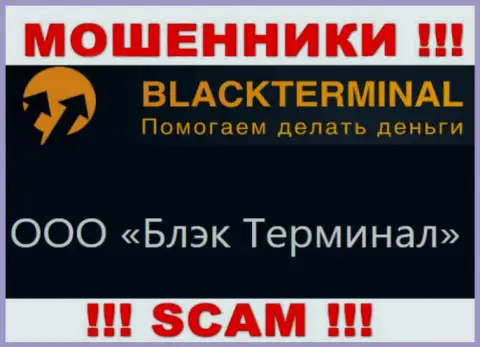 На официальном сайте Black Terminal отмечено, что юр. лицо конторы - ООО Блэк Терминал