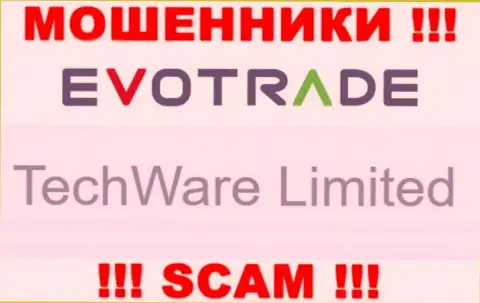 Юридическим лицом Evo Trade является - TechWare Limited
