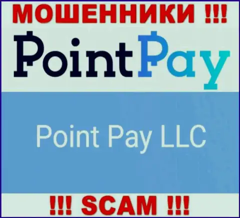 Юридическое лицо мошенников ПоинтПэй - это Point Pay LLC, информация с сайта махинаторов