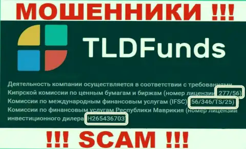 ТЛДФундс Ком предоставили на веб-ресурсе лицензию, но ее наличие мошеннической их сущности не изменит