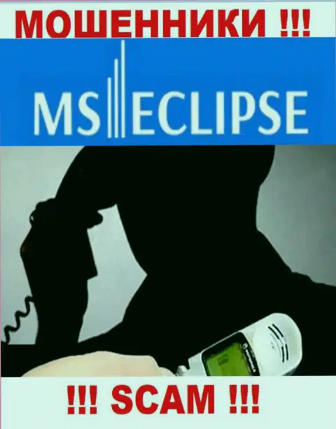 Не стоит верить ни одному слову представителей MSEclipse Com, у них задача раскрутить Вас на деньги
