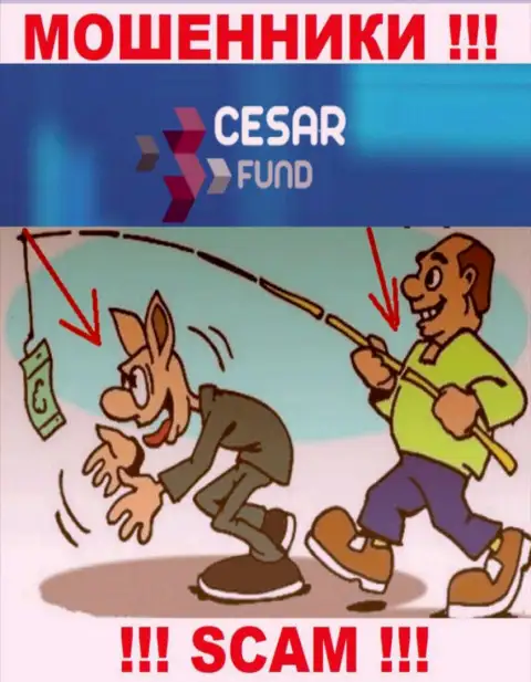 Мошенники Cesar Fund на стадии поиска новых лохов