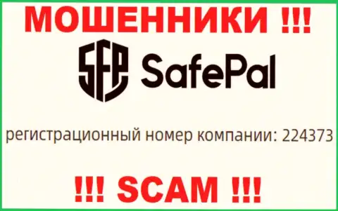 Номер регистрации компании Safe Pal - 224373