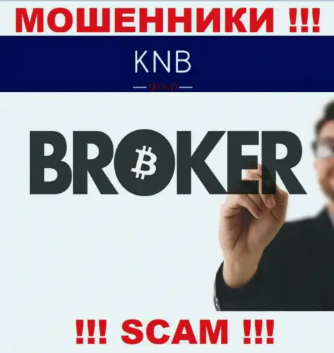 Брокер - именно в таком направлении предоставляют свои услуги интернет-ворюги KNB-Group Net