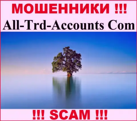 All-Trd-Accounts Com крадут финансовые вложения и выходят сухими из воды - они прячут инфу о юрисдикции