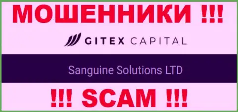 Юридическое лицо Гитекс Капитал - это Sanguine Solutions LTD, именно такую информацию оставили мошенники у себя на информационном ресурсе