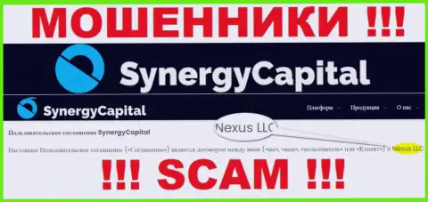Юридическое лицо, которое управляет махинаторами SynergyCapital - это Nexus LLC
