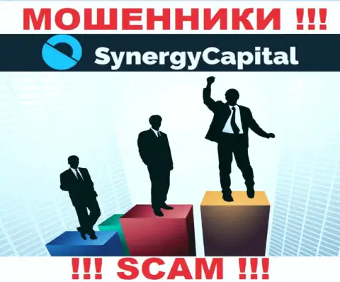 Synergy Capital предпочли оставаться в тени, информации об их руководстве вы не найдете