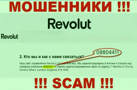Осторожно, присутствие регистрационного номера у организации Revolut (08804411) может оказаться ловушкой