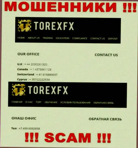 В запасе у internet обманщиков из организации Torex FX имеется не один телефонный номер